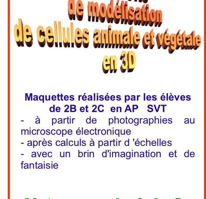 CONCOURS DE MODELISATION DE CELLULES ANIMALES ET VEGETALES EN 3D