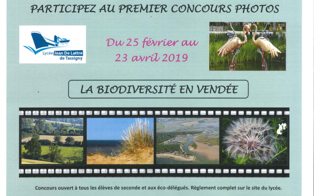 Participez au premier concours photo