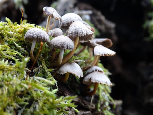 Bravo aux deux gagnantes du concours sur la biodiversité