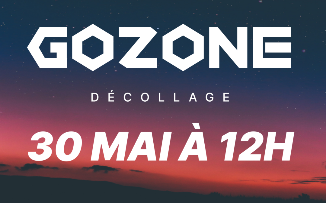 Projet GOZONE : le ballon sonde a bien atterri dans le département des Deux-Sèvres …. et est de retour au lycée