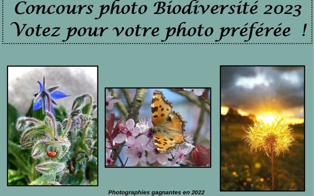 Concours photo biodiversité : votez pour votre photo préférée !
