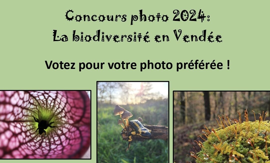 Concours photo 2024 : la biodiversité en Vendée