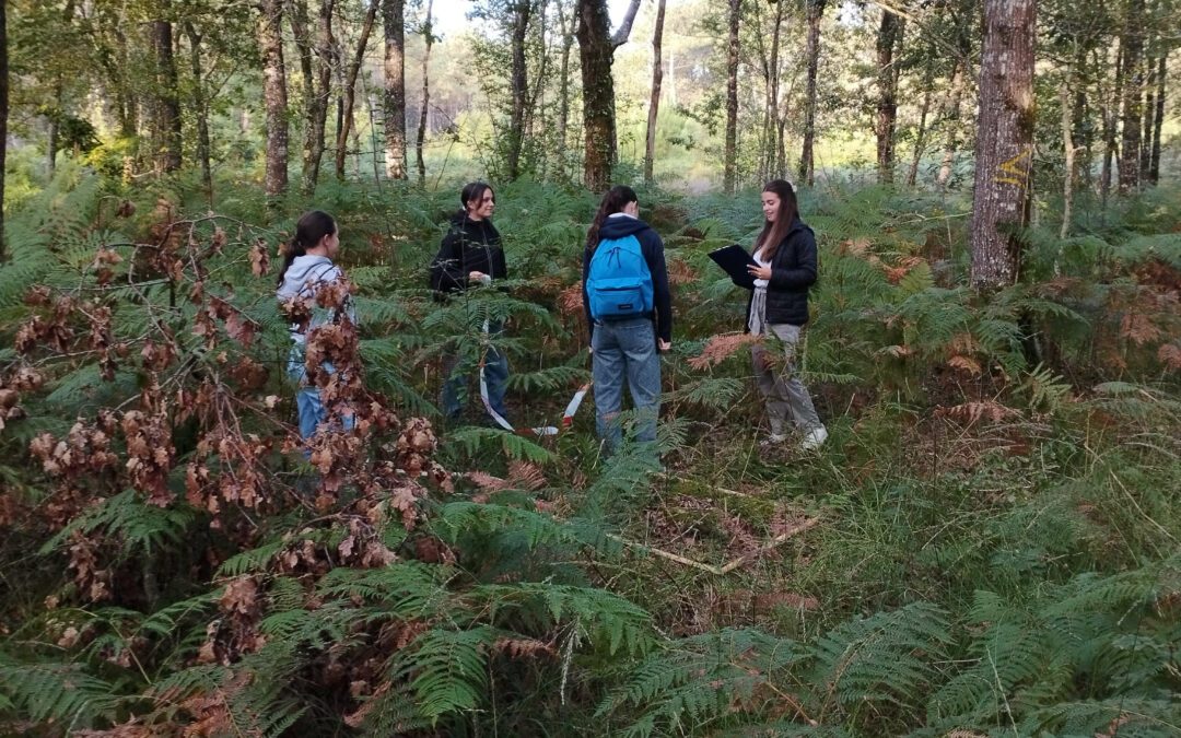 Spécialité SVT : une sortie en forêt d’Aizenay